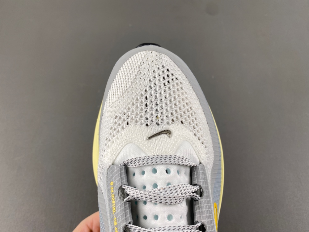 Nike Pegasus Premium