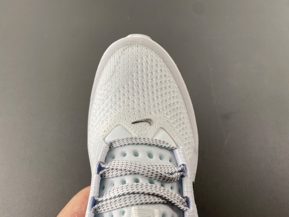 Nike Pegasus Premium HQ2592-100