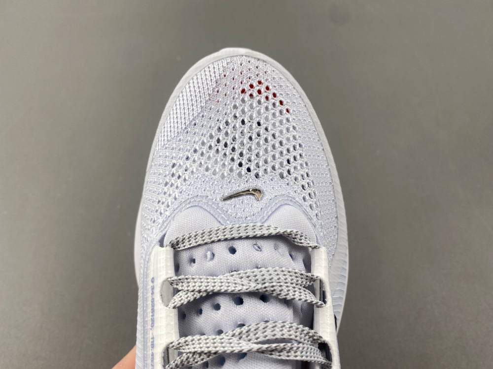 Nike Pegasus Premium HQ2593-004