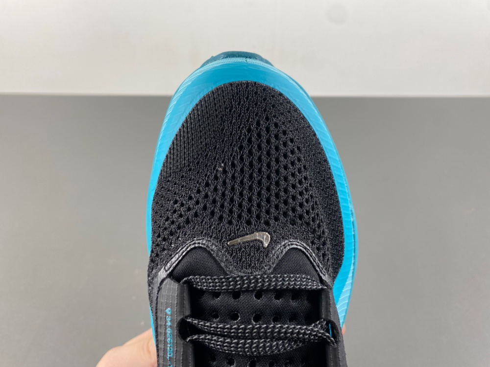 Nike Pegasus Premium