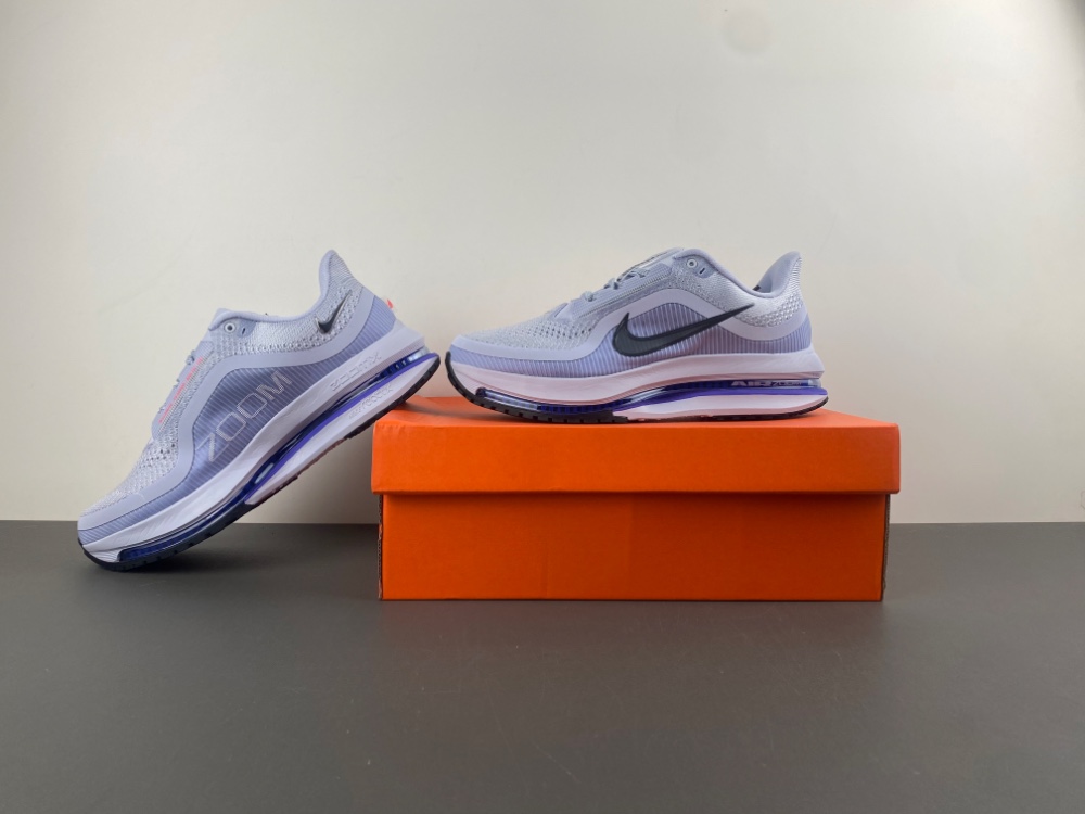 Nike Pegasus Premium 