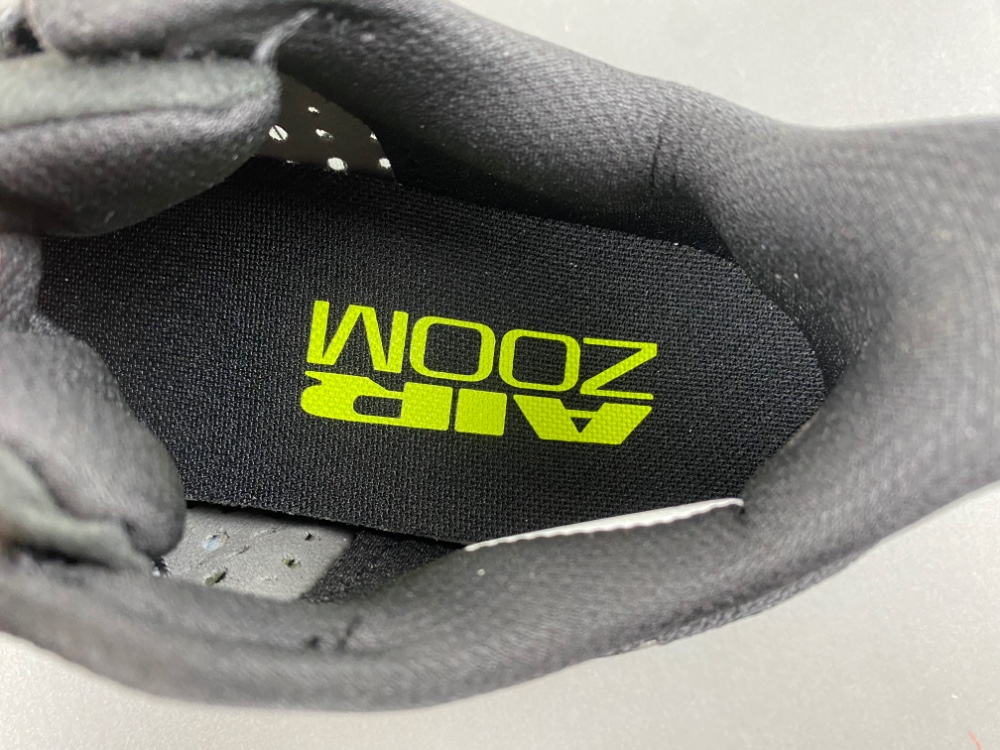 Nike Pegasus Premium