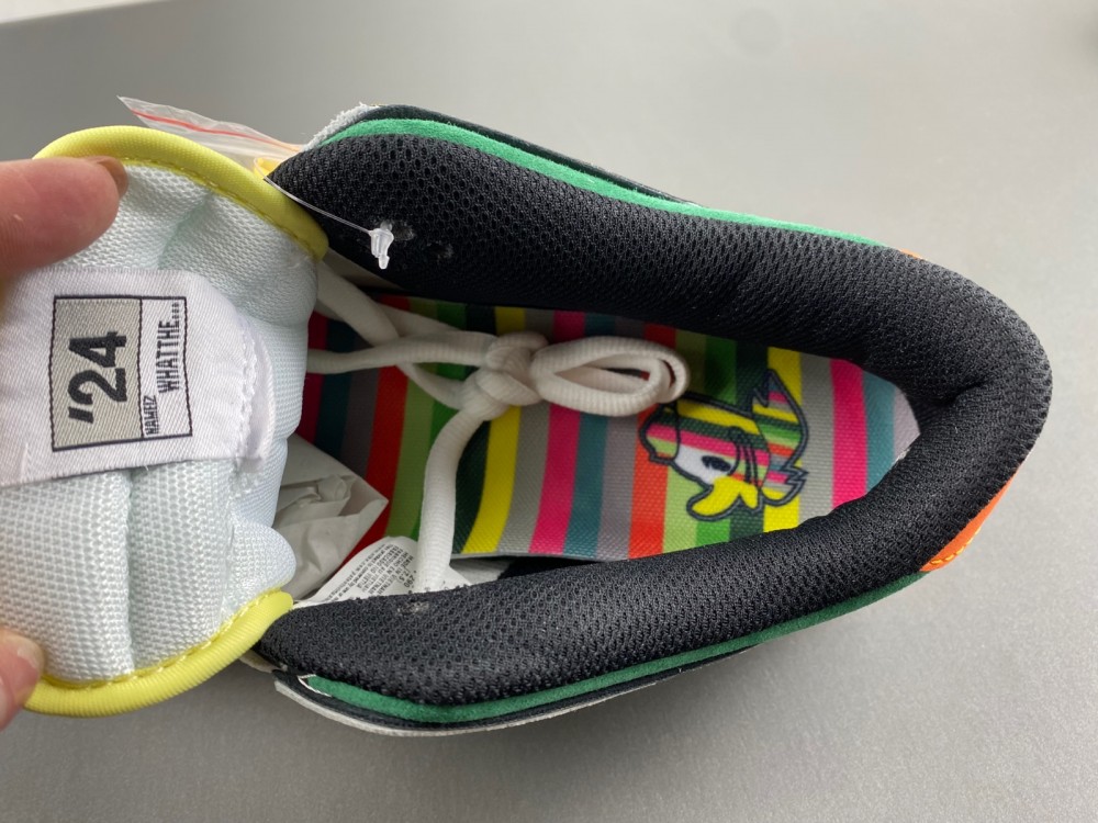 Nike Dunk Low “What The Ducks Of A Feather” HV1454-100