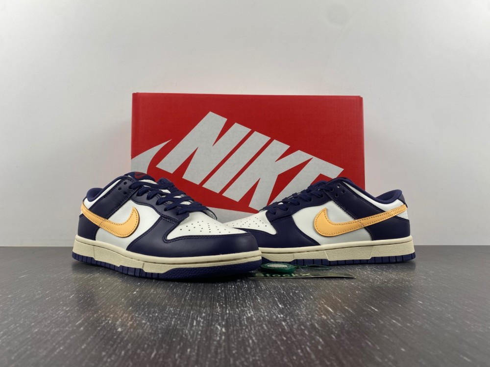 Nike Dunk Low Retro FV8106-181