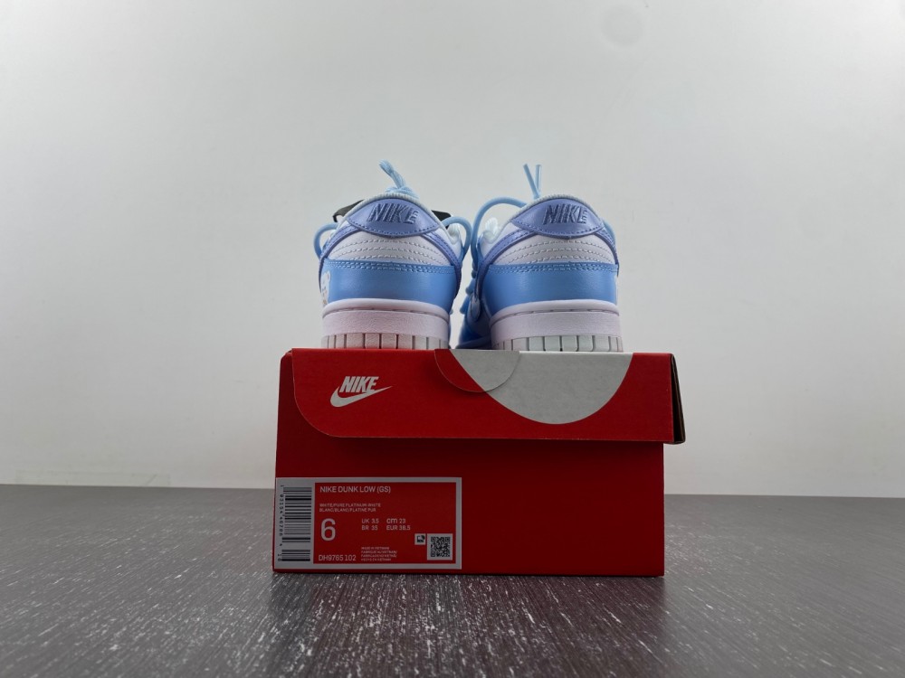 Nike Dunk Low DH9765-102