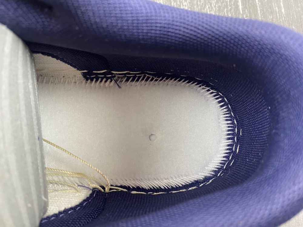 Nike Dunk Low Retro FV8106-181