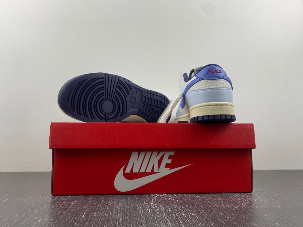 Nike Dunk Low “From Nike To You”FV8113-141