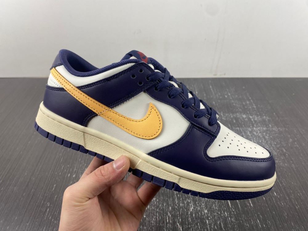 Nike Dunk Low Retro FV8106-181
