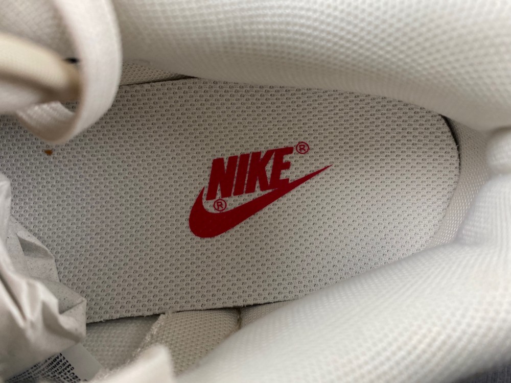 Nike Dunk Low  DV0834-100