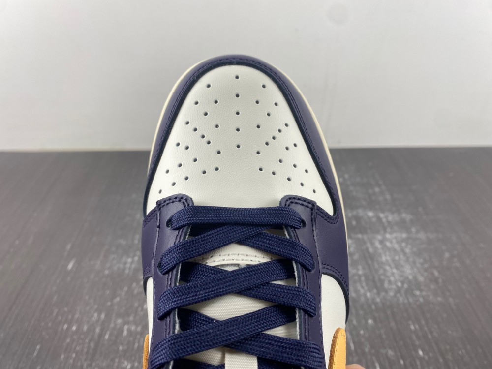 Nike Dunk Low Retro FV8106-181