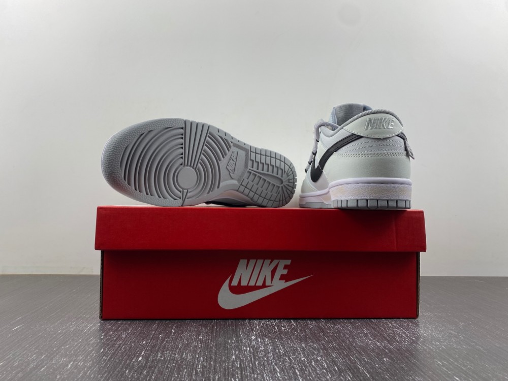 Nike Dunk Low DJ6188-101
