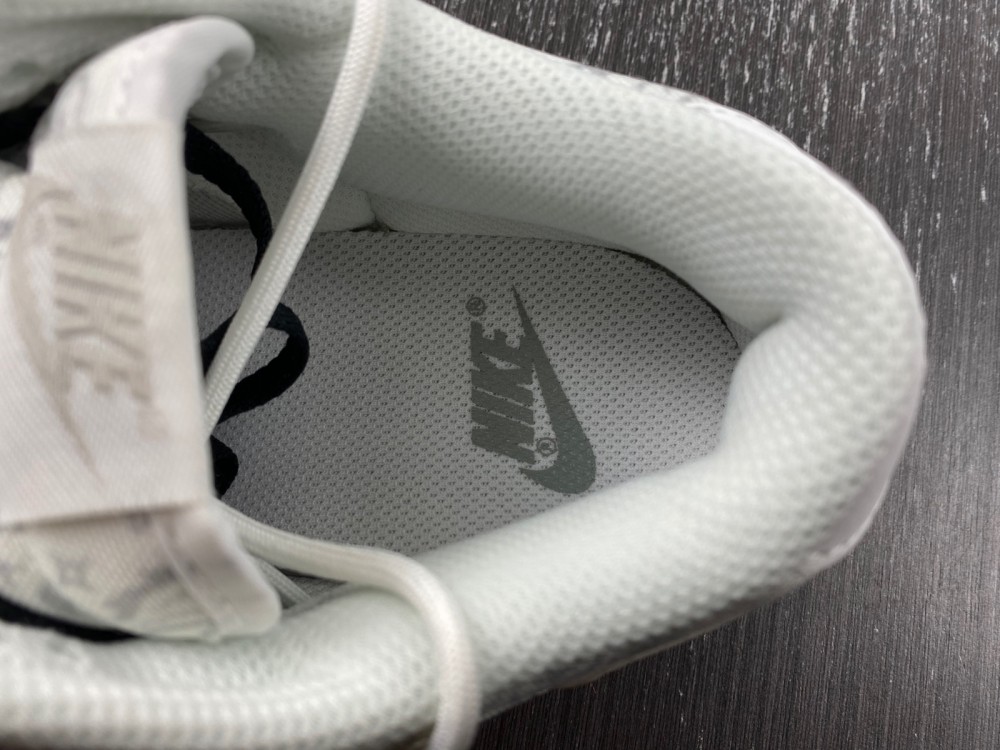 Nike Dunk Low FV8113-144