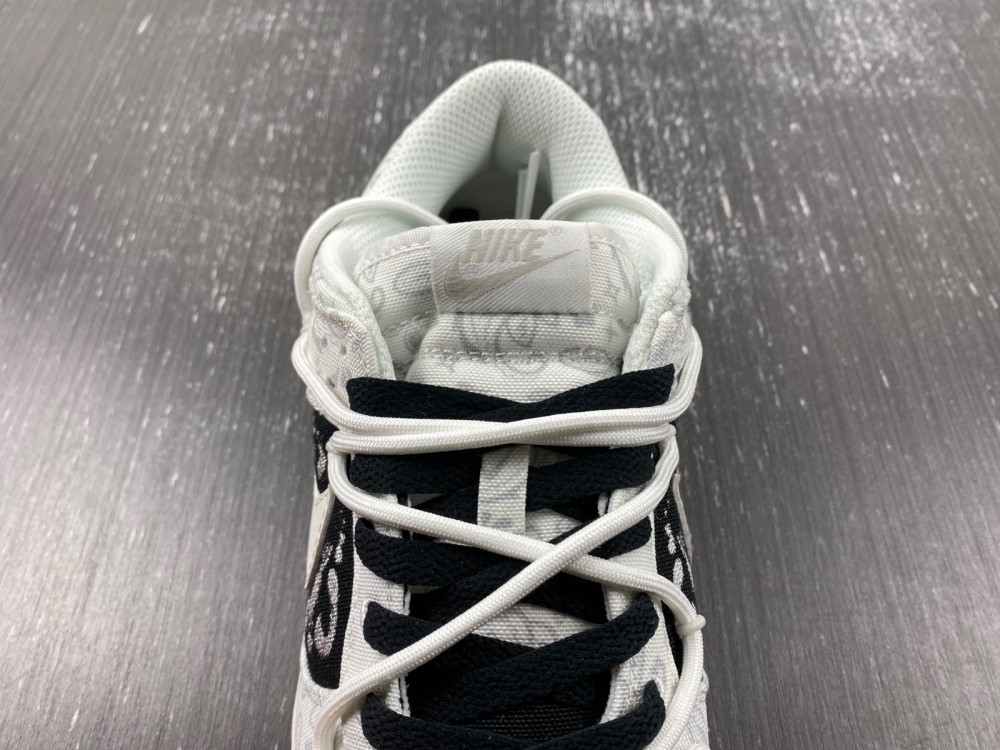 Nike Dunk Low FV8113-144