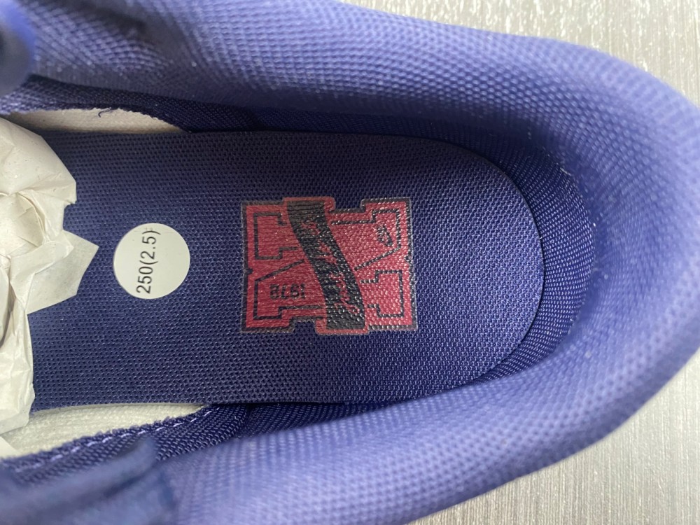 Nike Dunk Low Retro FV8106-181