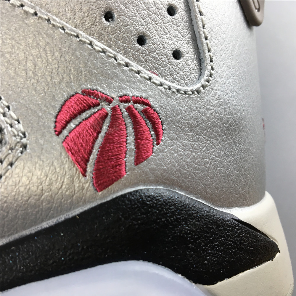 Air Jordan Jordann 6 Retro PS 