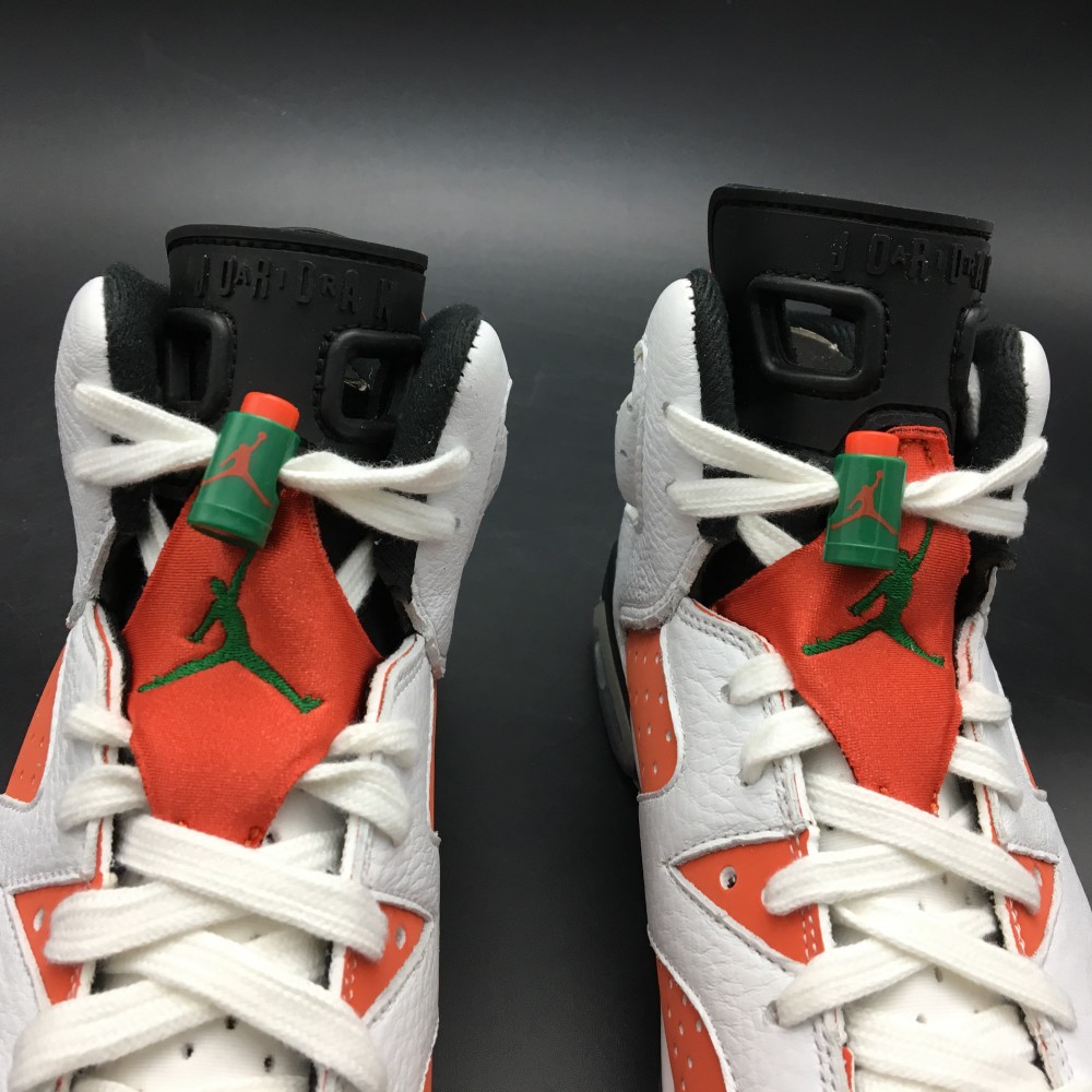 Air Jordan 6 “Gatorade”