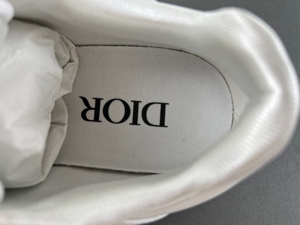 DIOR B27 SNEAKER