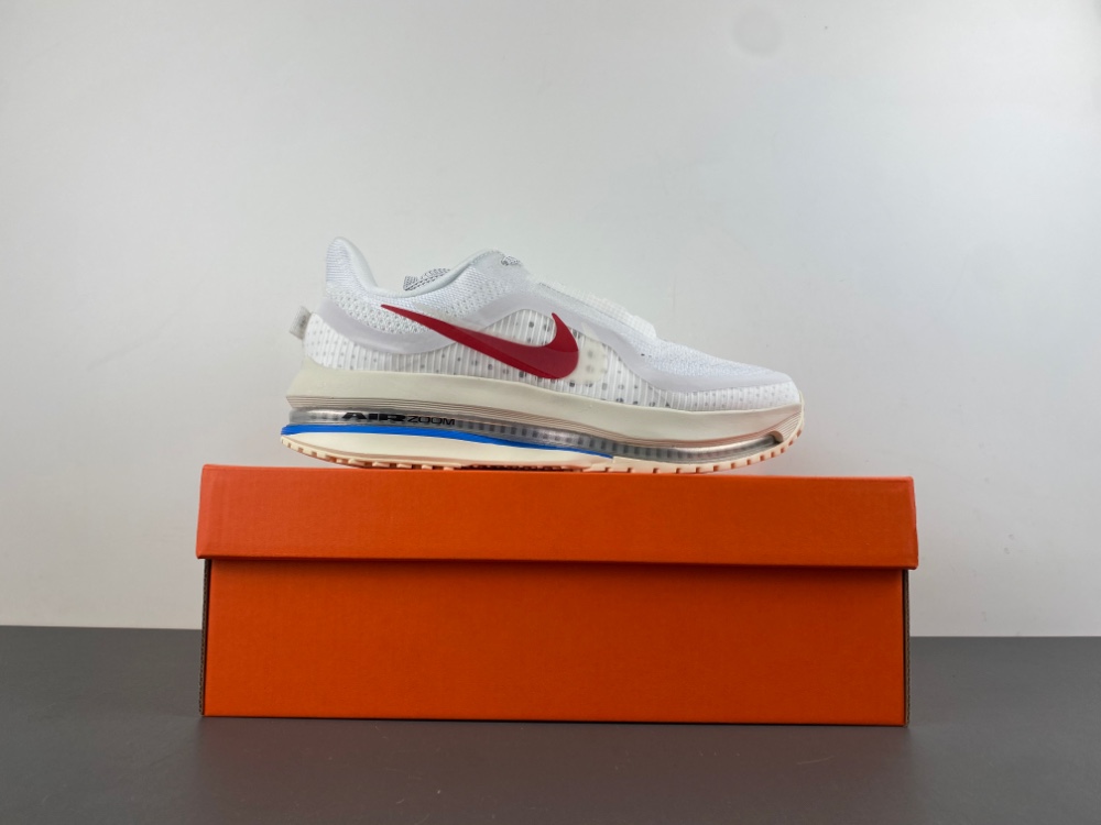 Nike Pegasus Premium 